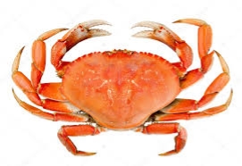 ᐈ Краб рисунок изображения, фото краб | скачать на Depositphotos®